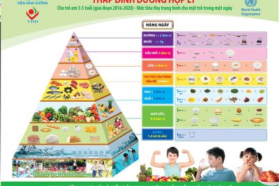 PHÒNG CHỐNG DUY DINH DƯỠNG VÀ THỪA CÂN, BÉO PHÍ Ở TRẺ EM