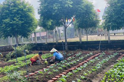 Bảo vệ: Vườn rau của trường mẫu giáo Hoa Sim 2023-2024(Từ một vùng cằn cỗi, đã được bàn tay của các “Thiên thần” tạo nên một miếng đất màu mỡ. Gia đình là tế bào của xã hội, nền tảng của mỗi quốc gia và chỗ dựa vững chắc về mặt tinh thần, đồng thời cũng là kim chỉ nam để tránh những nhận thức lệch lạc từ phía phụ huynh trong việc giáo dục trẻ.Nhà trường là môi trường giáo dục chuyên nghiệp, không chỉ phát triển về kiến thức mà còn phải truyền tải cho trẻ những giá trị chuẩn mục của xã hội để trở thành chủ nhân tương lai, những con người tri thức thật sự có đời sống tinh thần phong phú bên cạnh cuộc sống gia đình